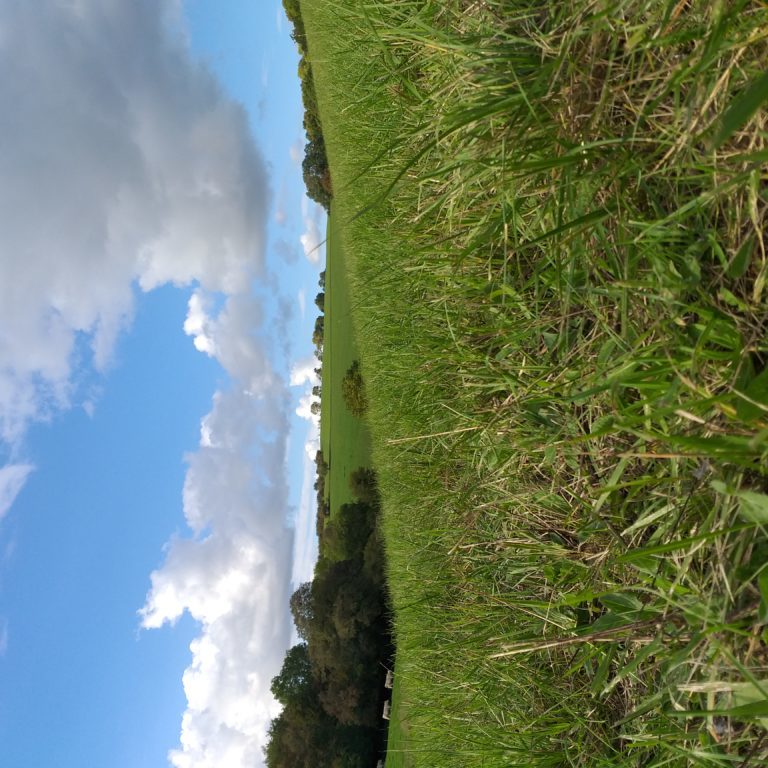 20201010_165952