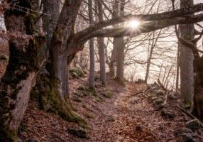 guillaume-archambault-PR61_CJKwMg-unsplash